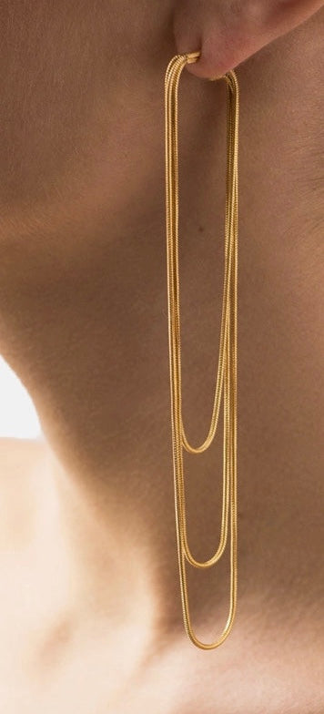 Gold Tasseled Earrings