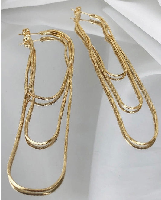 Gold Tasseled Earrings